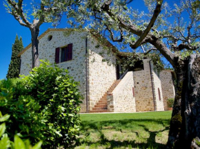 Гостиница Agriturismo Le Colombe Assisi  Ассизи